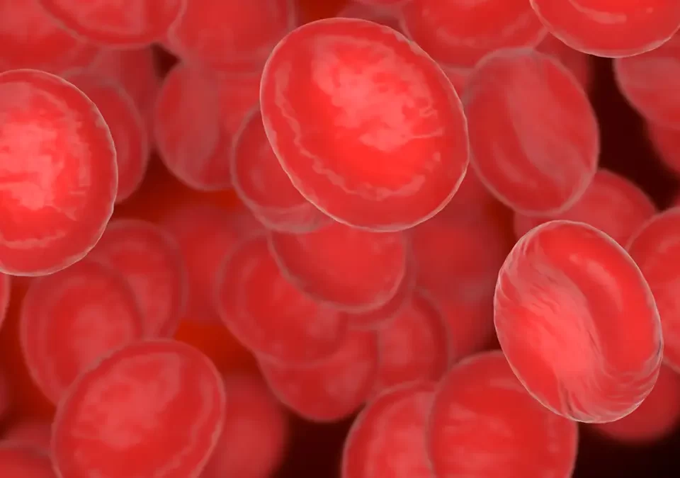 theodoros-kafasis-genikos-oikogeneiakos-iatros-glykozyliomeni-aimosfairini