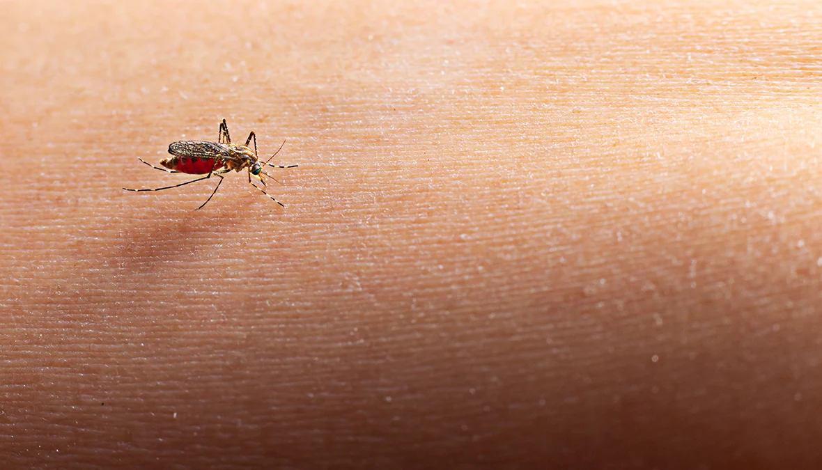 theodoros-kafasis-genikos-iatros-ios-dytikoy-neiloy-metra-prostasias-iatro